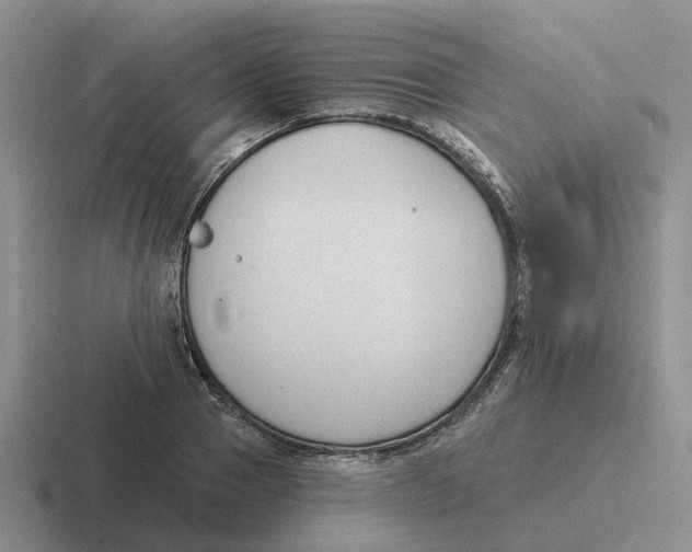 X0000116650937201001041047