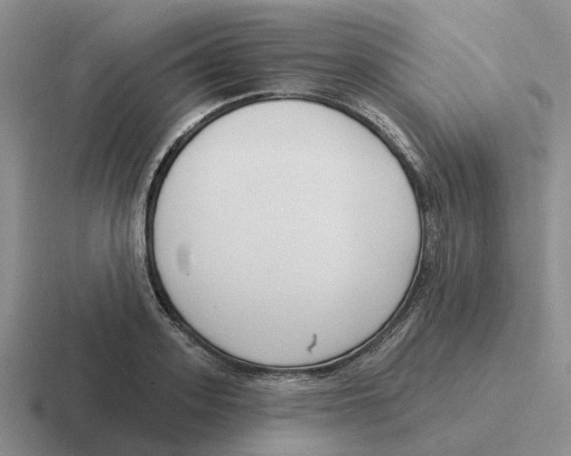 X0000116650939201001041047