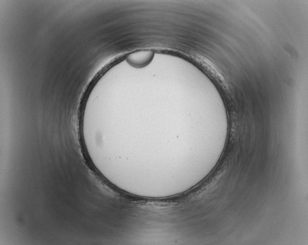 X0000116650942201001041047