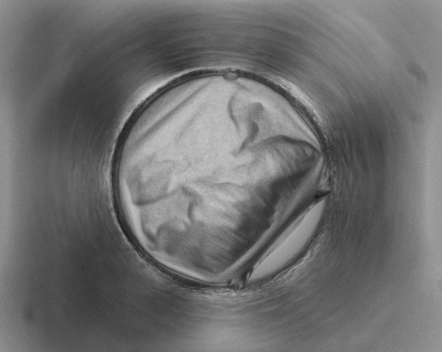 X0000116650943201001041047