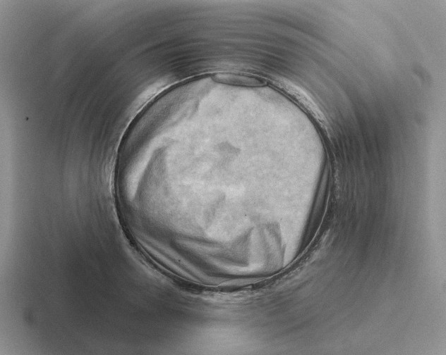 X0000116650946201001041047