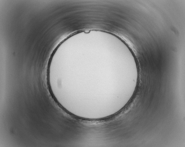 X0000116650949201001041048