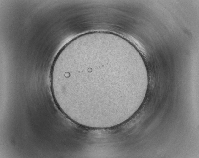 X0000116650950201001041048