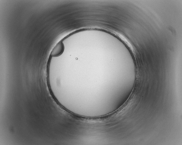 X0000116650951201001041048