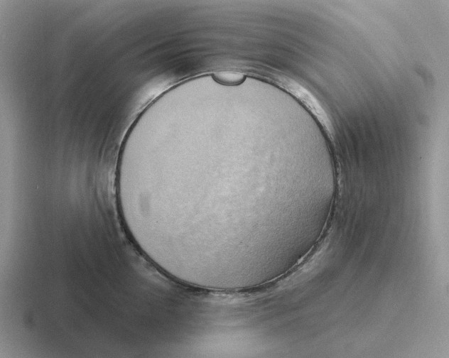 X0000116650954201001041048