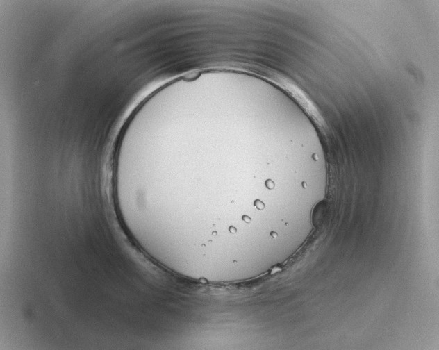 X0000116650955201001041048