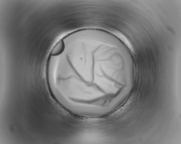 X0000116650958201001041048