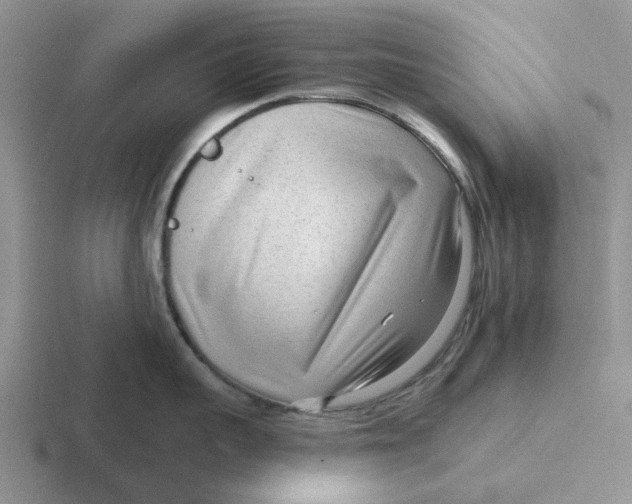 X0000116650959201001041048