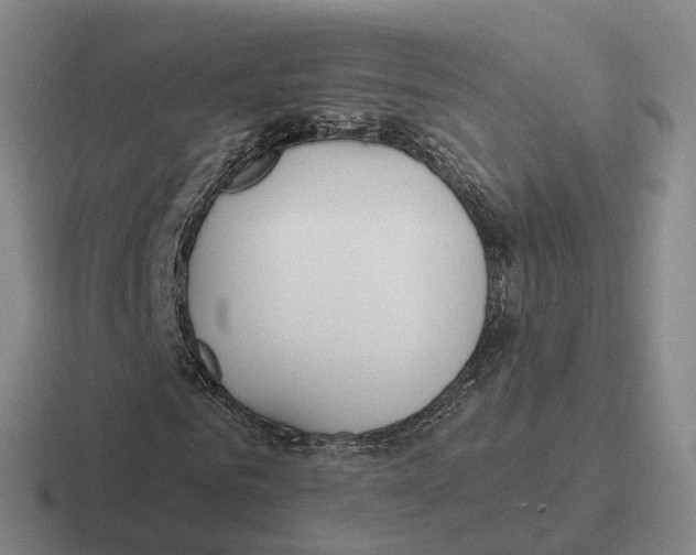 X0000116650961201001041047