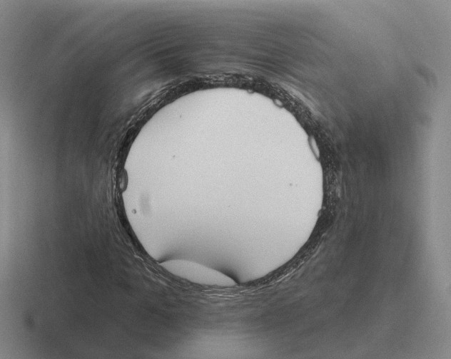 X0000116650965201001041047