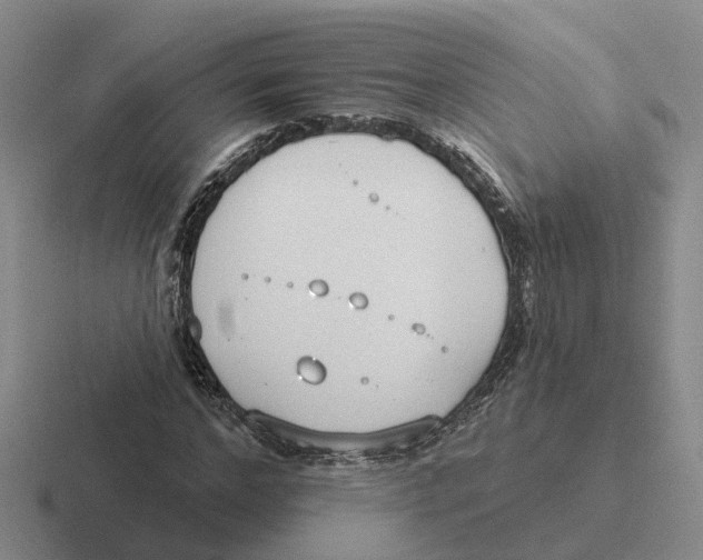 X0000116650968201001041047