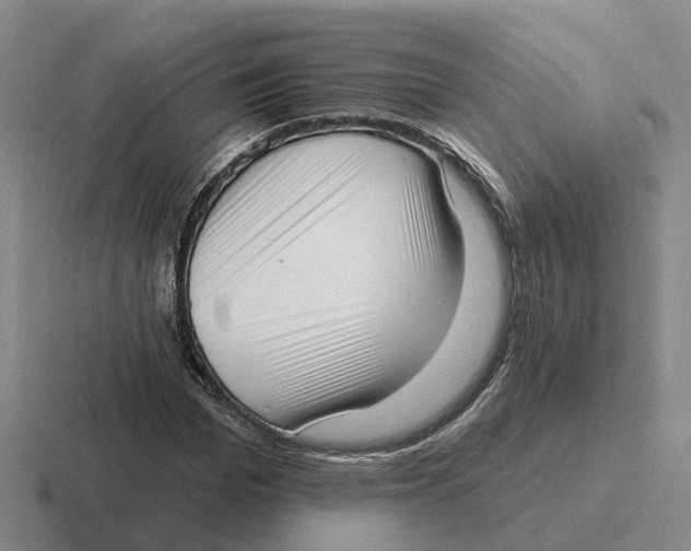 X0000116650969201001041047