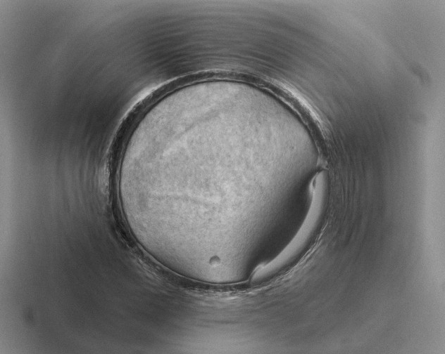 X0000116650975201001041047