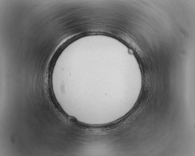 X0000116650976201001041047