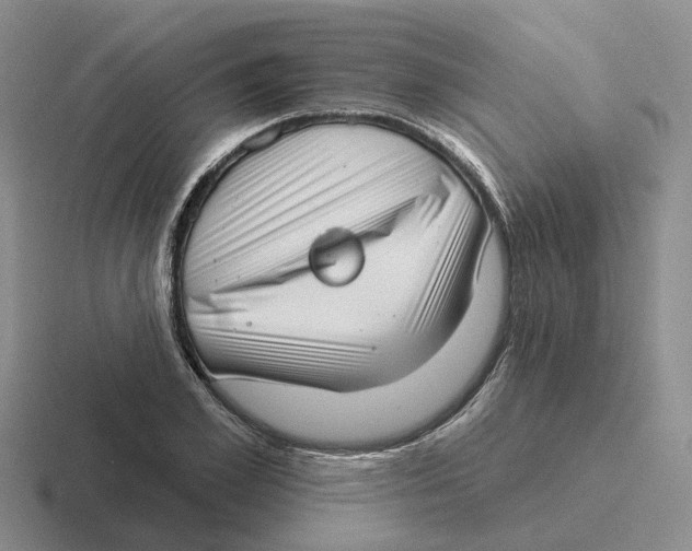 X0000116650981201001041047