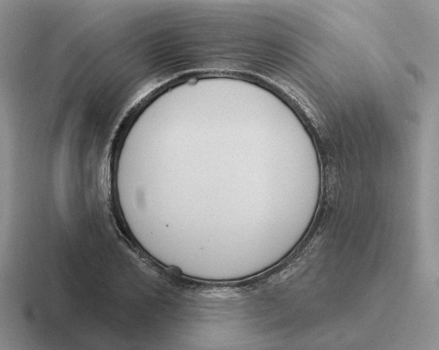 X0000116650982201001041047