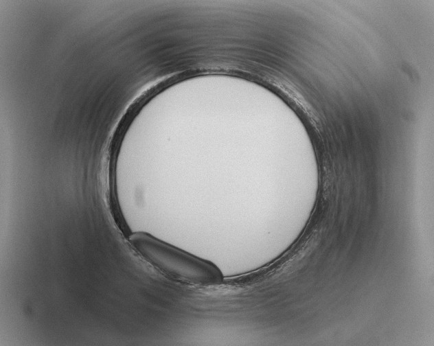 X0000116650984201001041047