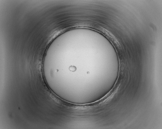 X0000116650985201001041047