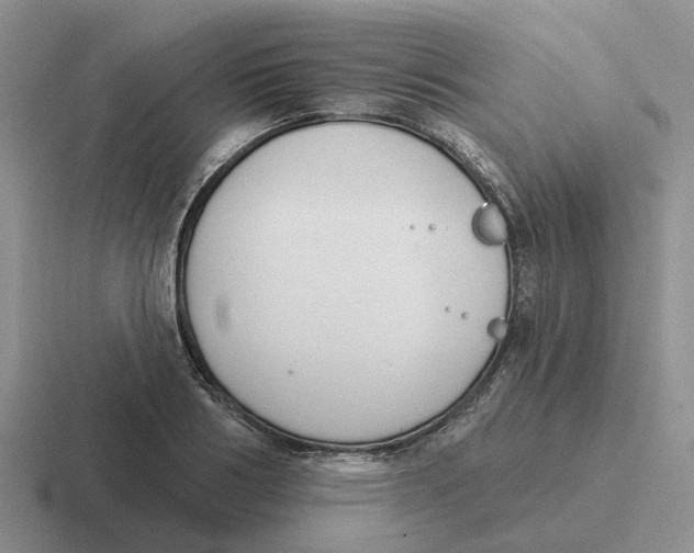 X0000116650986201001041047