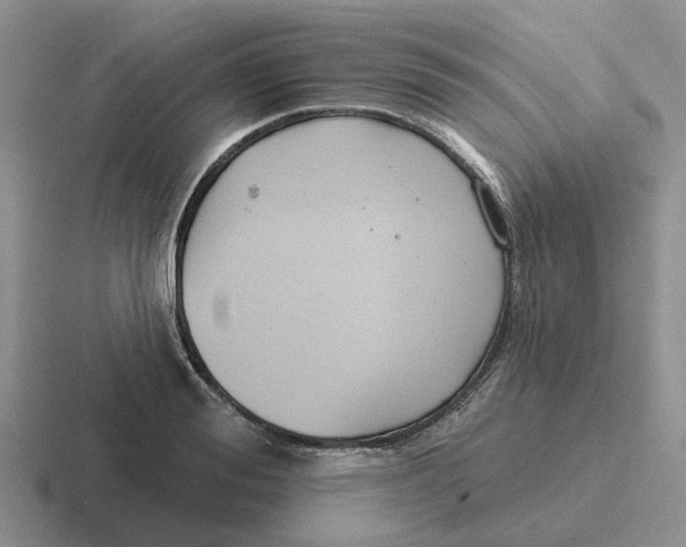 X0000116650988201001041047