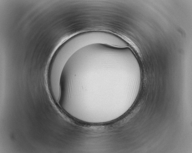 X0000116650989201001041047