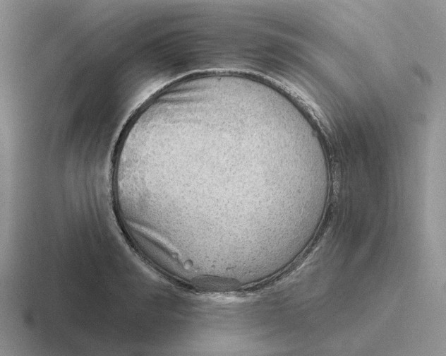 X0000116650990201001041047