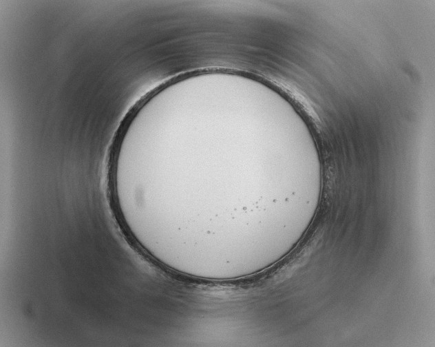 X0000116650991201001041047