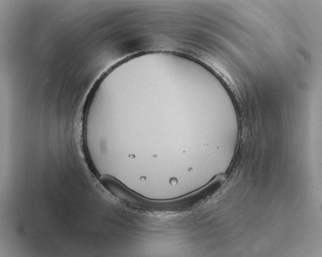 X0000116650992201001041047