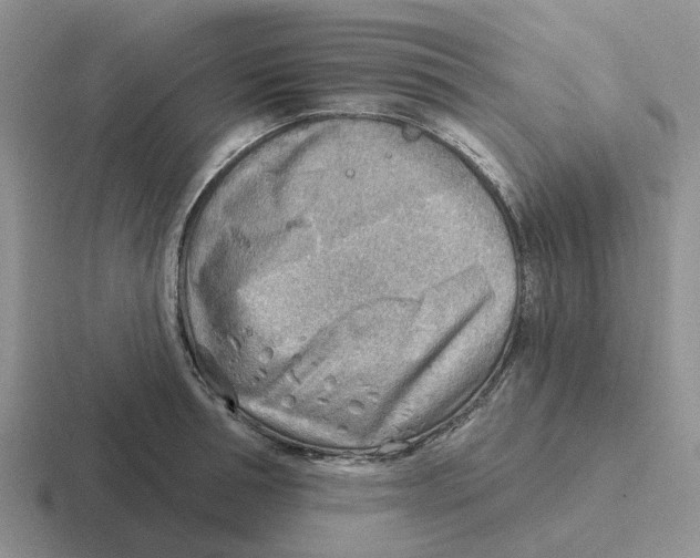 X0000116650994201001041047