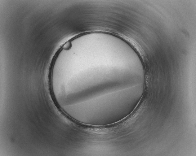 X0000116650995201001041047