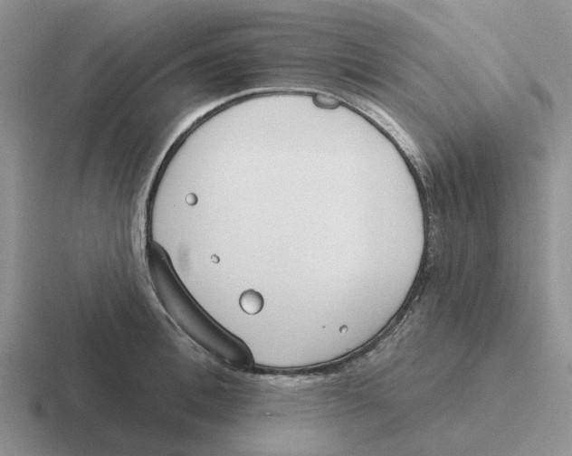 X0000116650996201001041047