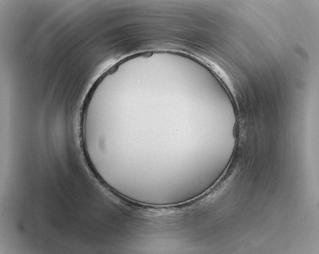 X0000116650997201001041047