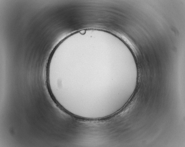 X0000116650999201001041047