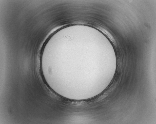 X0000116651000201001041047