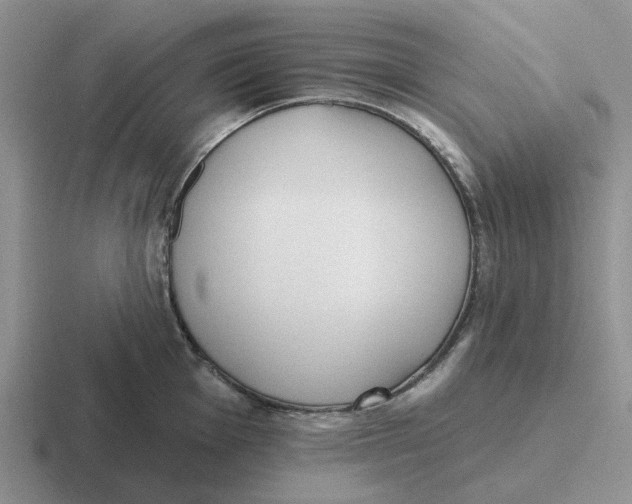 X0000116651001201001041047