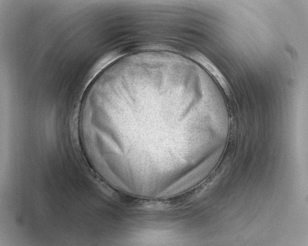 X0000116651002201001041047