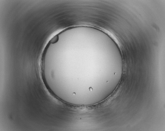 X0000116651003201001041047