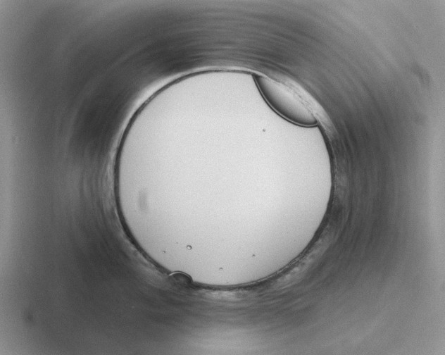 X0000116651004201001041046