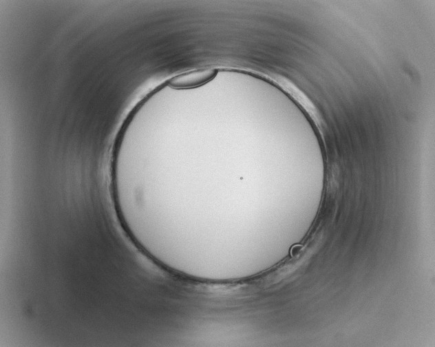 X0000116651005201001041046