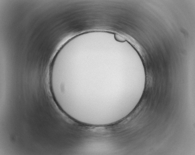 X0000116651006201001041046