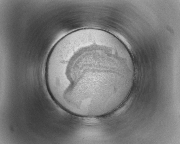 X0000116651007201001041046