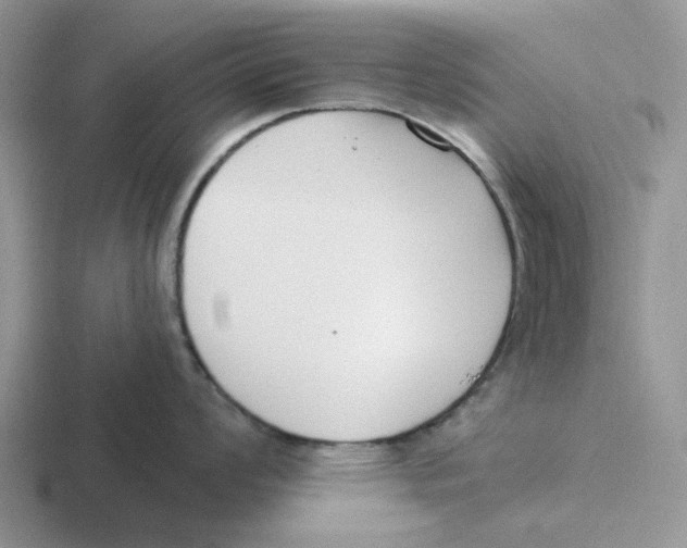 X0000116651008201001041046