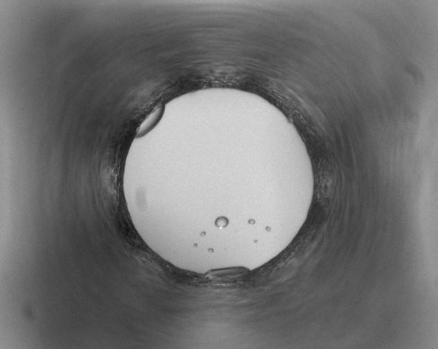 X0000116651010201001041046