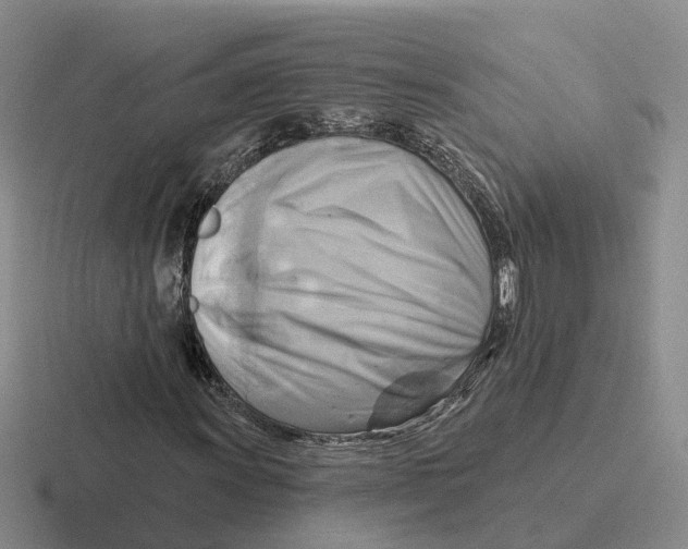 X0000116651011201001041046