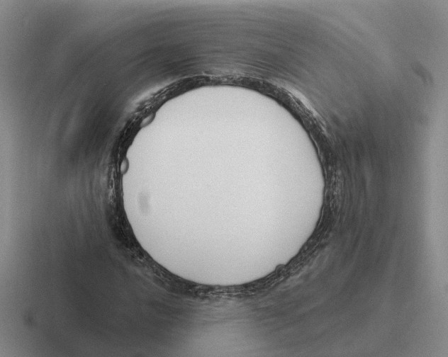 X0000116651016201001041046