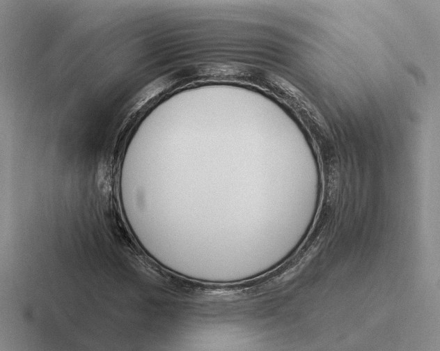 X0000116651017201001041046