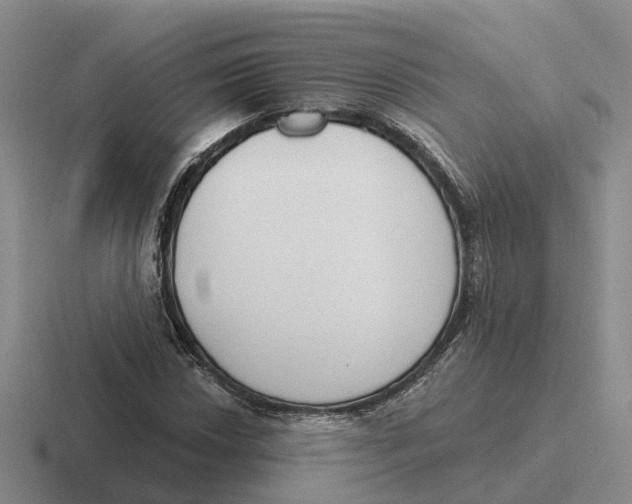 X0000116651018201001041046