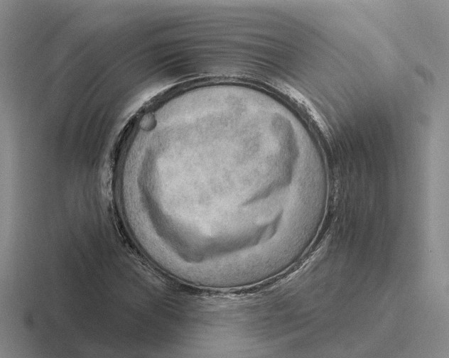 X0000116651019201001041046