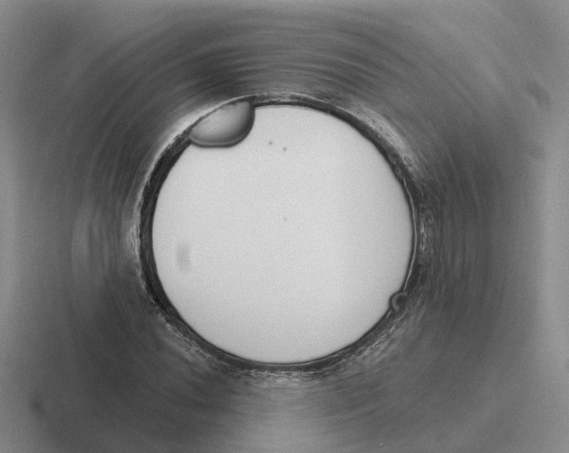 X0000116651020201001041046