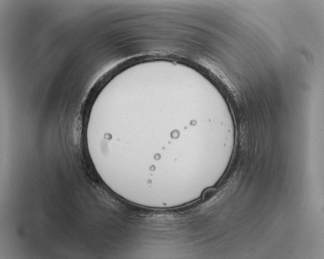 X0000116651021201001041046